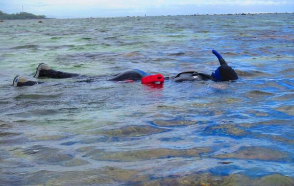 Snorkeling in Fiji to study marine habitats