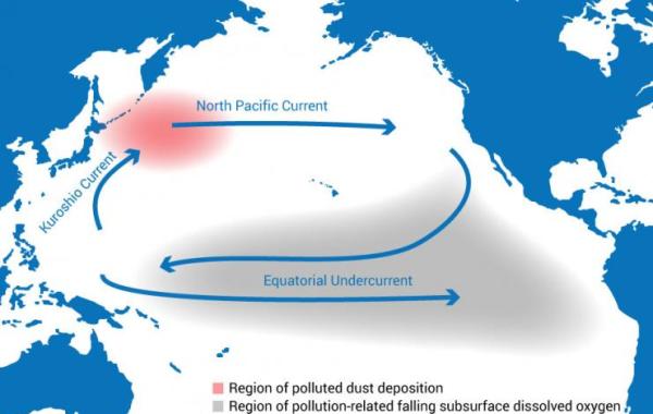Pollution-related Oxygen Loss in Tropical Pacifc Ocean