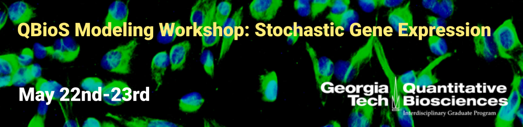 workshop banner