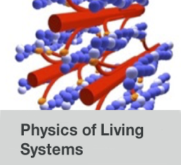 Physics of Living Systems