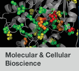 Molecular & Cellular Biosciences