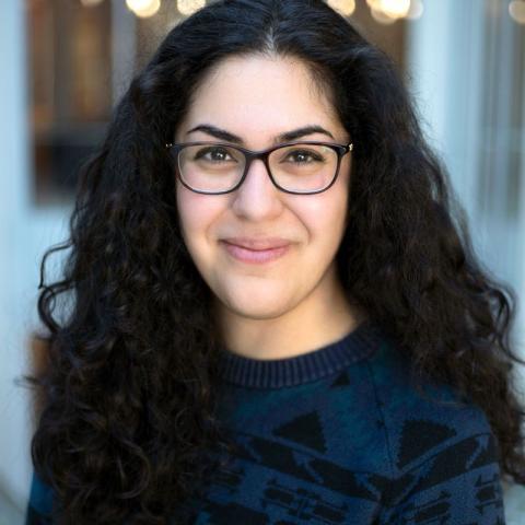 Armita R. Manafzadeh, PhD