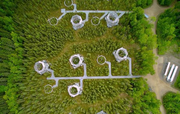 Yurt-like test chambers in a natural boreal spruce bog in northern Minnesota (provided).