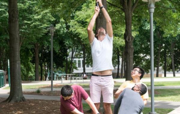 Retrieving ladder ball from the tree