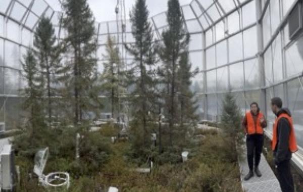Postdoctoral Researchers Caitlin Petro and Borja Aldeguer-Riquelme inside a SPRUCE chamber in 2023. Postdoctoral Researchers Caitlin Petro and Borja Aldeguer-Riquelme inside a SPRUCE chamber in 2023.