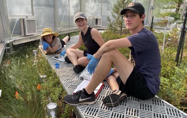 Postdoctoral Researcher Caitlin Petro, Ph.D. student Katherine Duchesneau, and undergraduate student Sekou Noble-Kuchera in a SPRUCE chamber. Postdoctoral Researcher Caitlin Petro, Ph.D. student Katherine Duchesneau, and undergraduate student Sekou Noble-Kuchera in a SPRUCE chamber.