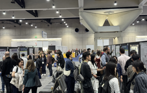 With hundreds of presentations happening simultaneously, the poster floor can be overwhelming at SfN — but for many, that's part of the draw.