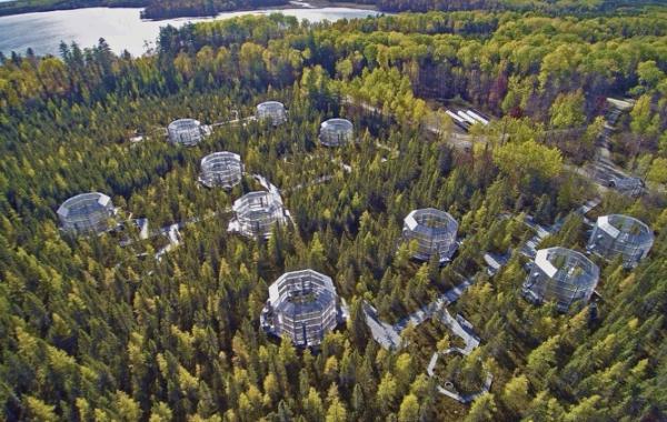An aerial photo of the SPRUCE experiment.