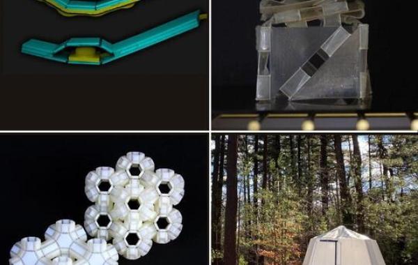 School of Physics Uses Moths and Origami Structures for Innovative ...
