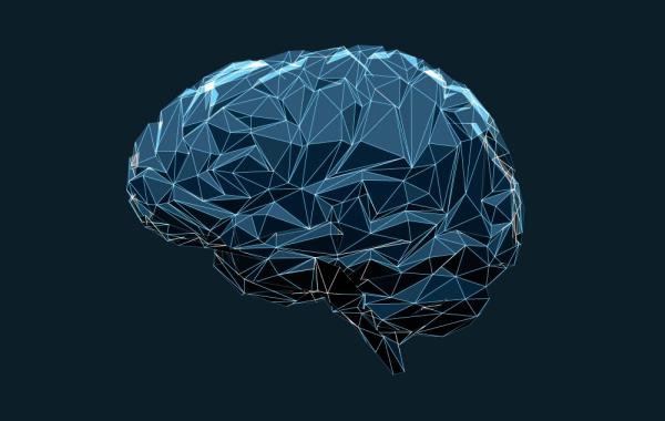 Brain illustration (iStock)