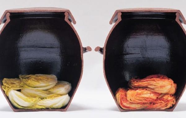 A cross-sectional view of onggi showing fermenting cabbage. Credit: Korean Ministry of Culture, Sports, and Tourism.