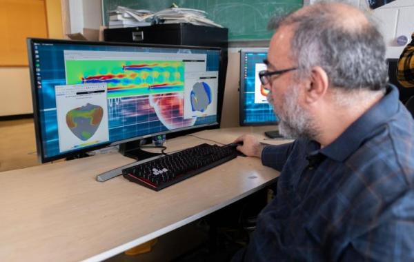 Examining cardiac and fluid flow simulations