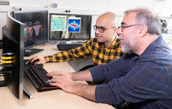 Researchers discuss simulations