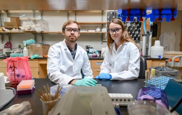 Studying bacterial behavior in the lab versus in humans