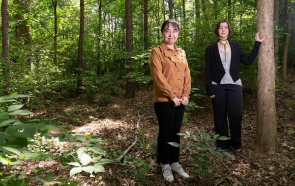 Researchers in woodland scene