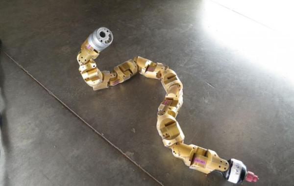 Snake robot