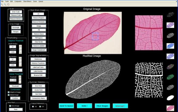 LEAF GUI screenshot