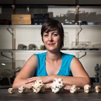 A woman stands behind a row of skulls.