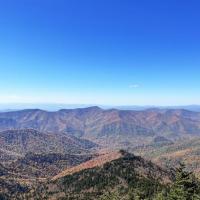 A range of tree-covered mountains stand beneath a bright blue sky