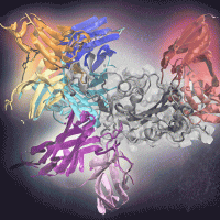 Deep learning effectively predicts antibodies targeting distinct epitopes on the SARS-CoV-2 spike protein (gray, center). 