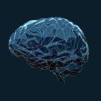 Brain illustration (iStock)