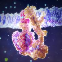 ATP synthase is an enzyme that has been using phosphate to generate life’s energy for millions of years. ATP synthase is an enzyme that has been using phosphate to generate life’s energy for millions of years.
