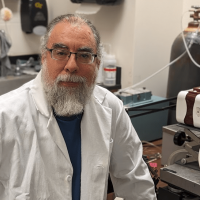 Professor Flavio Fenton