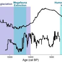 Chart showing resilience over time